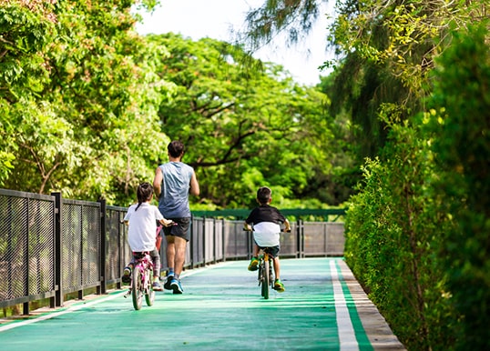 Cycling Track