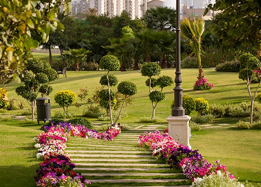 Exquisite Gardens