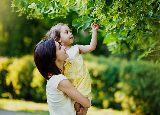 Explore the beautiful herbal parks within the luxury residences of Central Park Flower Valley