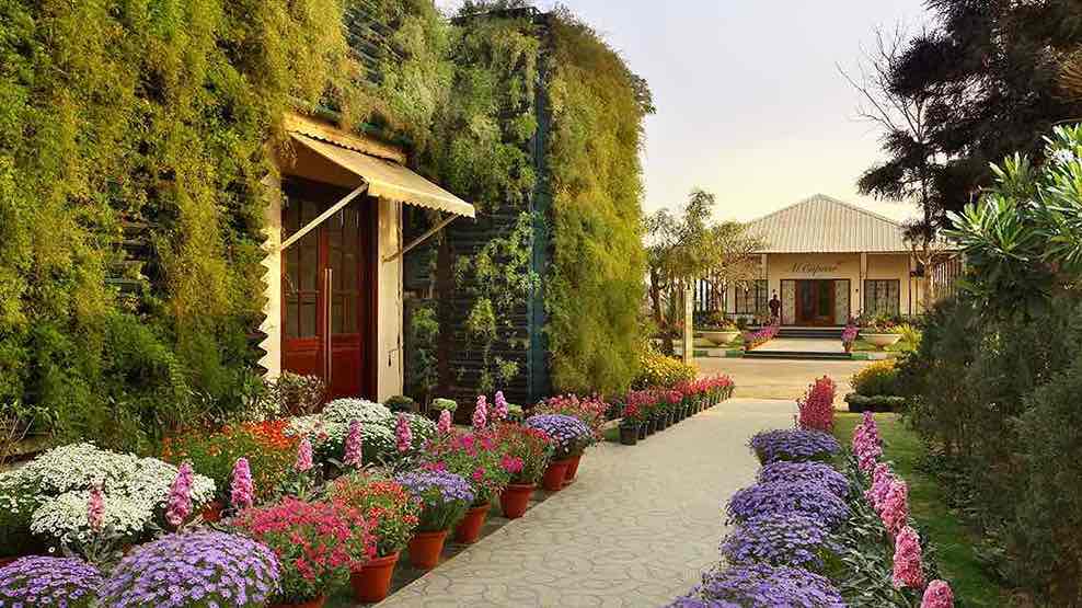 Indulge in the luxurious lifestyle offered by the Independent Floors at Cerise Floors, Central Park Indulge in the luxurious lifestyle offered by the Independent Floors at Cerise Floors, Central Park