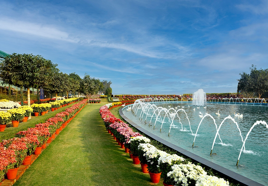 Immerse yourself in the opulence of living within a secure gated community at Central Park Flower Valley on Sohna Road Immerse yourself in the opulence of living within a secure gated community at Central Park Flower Valley on Sohna Road
